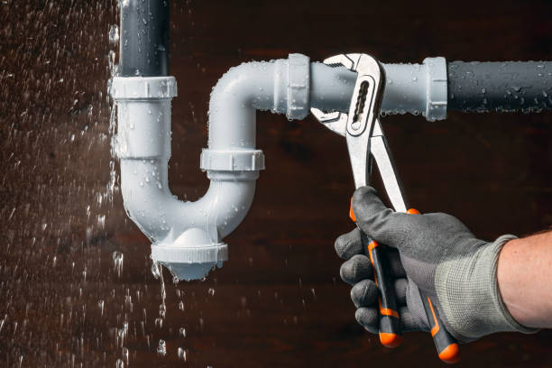 Professional Plumbing technician working in Townville, PA